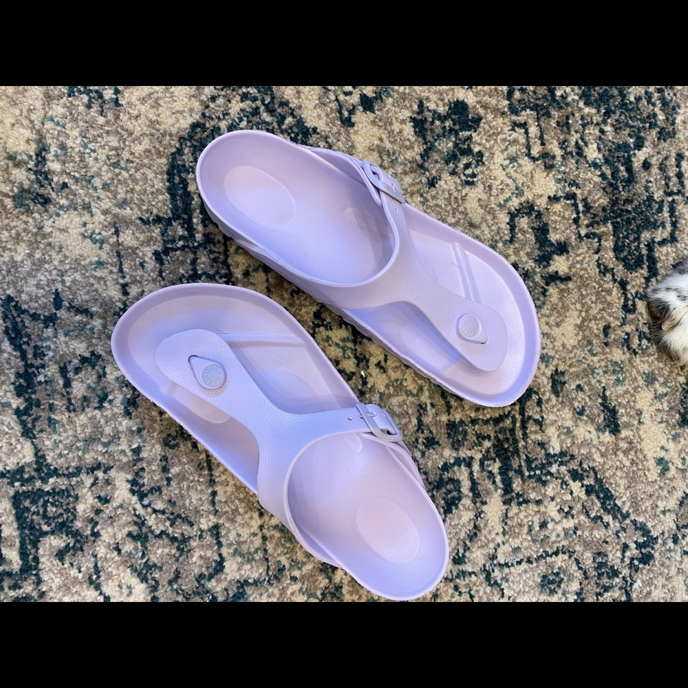 Plastic Birkenstock’s in Lavender